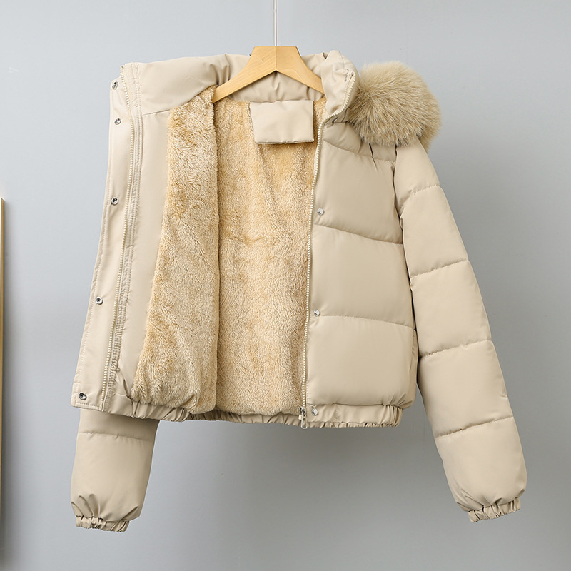 Winter Short Parkas Women's Co - đánh giá và giá Wool Coat Peacoat