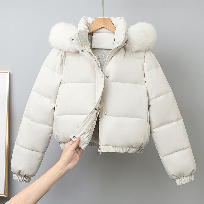 Winter Short Parkas Women's Co - đánh giá và giá Wool Coat Peacoat
